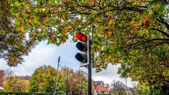 Traffic Signal Light Rules